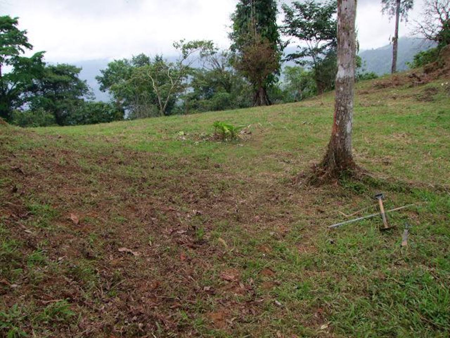 0 bed Land For Sale in Uvita, Puntarenas - thumb 6