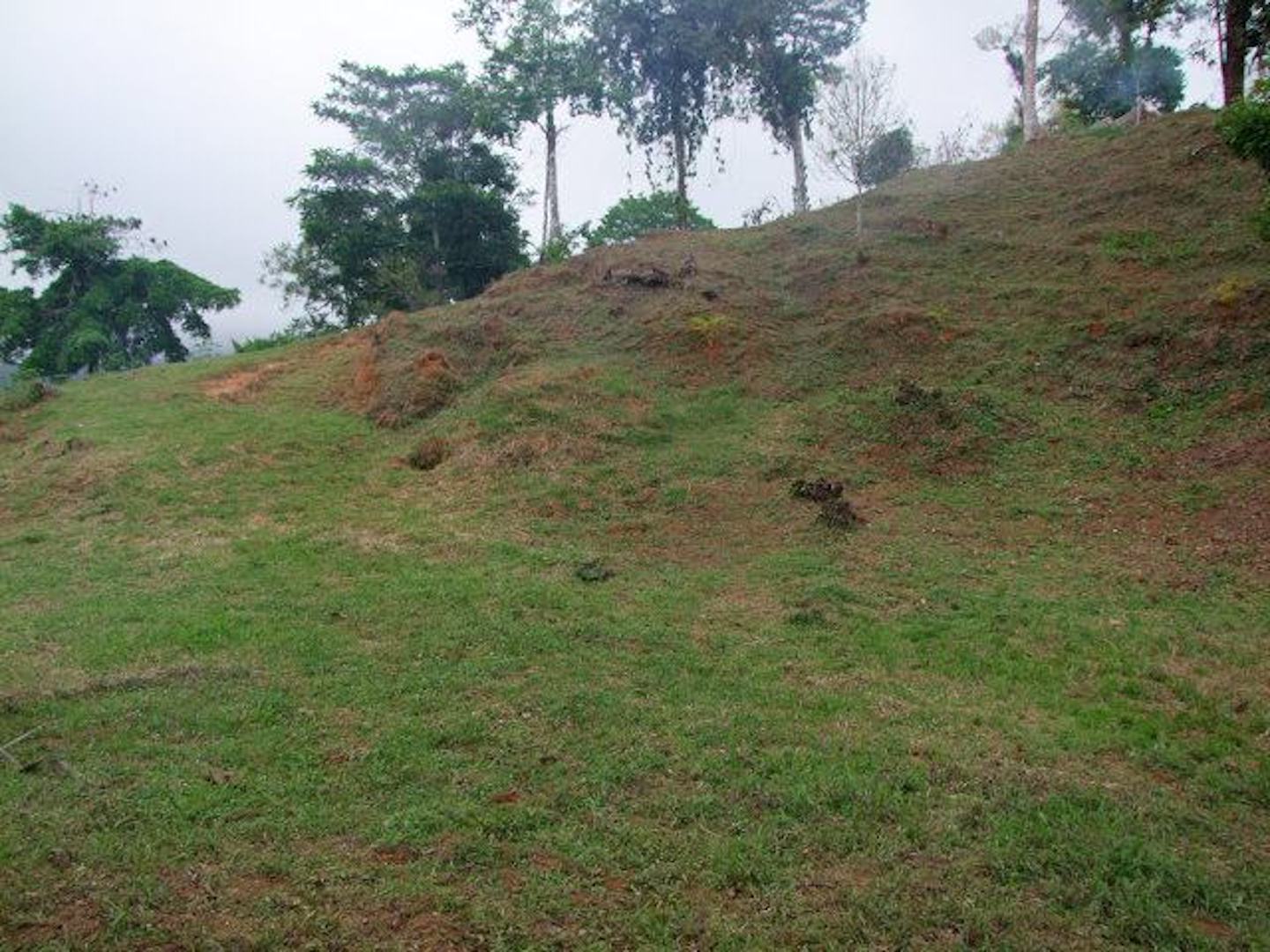 0 bed Land For Sale in Uvita, Puntarenas - thumb 7