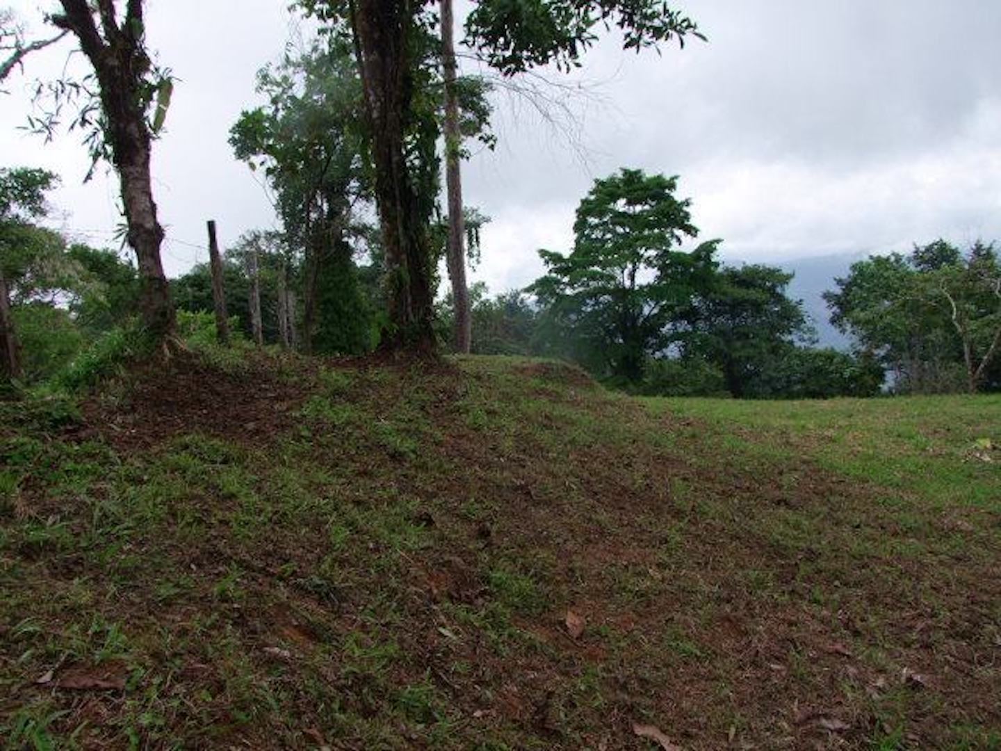 0 bed Land For Sale in Uvita, Puntarenas - thumb 9
