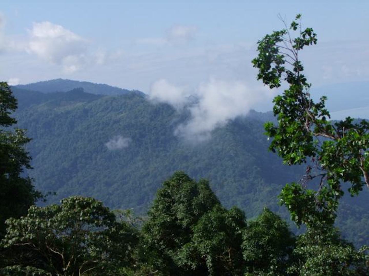 0 bed Land For Sale in Uvita, Puntarenas - thumb 10