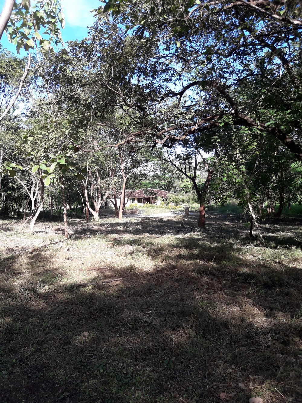 0 bed Land For Sale in Tamarindo, Guanacaste - thumb 7
