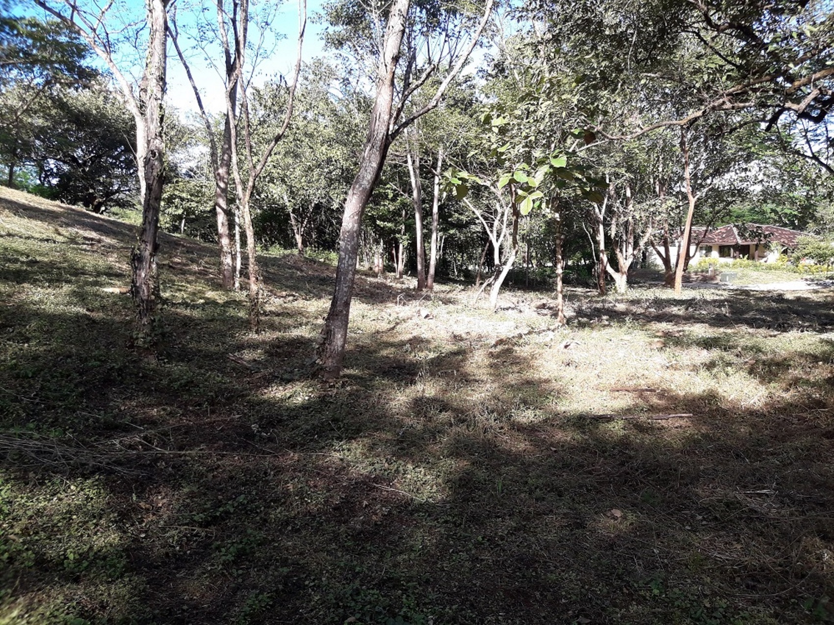 0 bed Land For Sale in Tamarindo, Guanacaste - thumb 5
