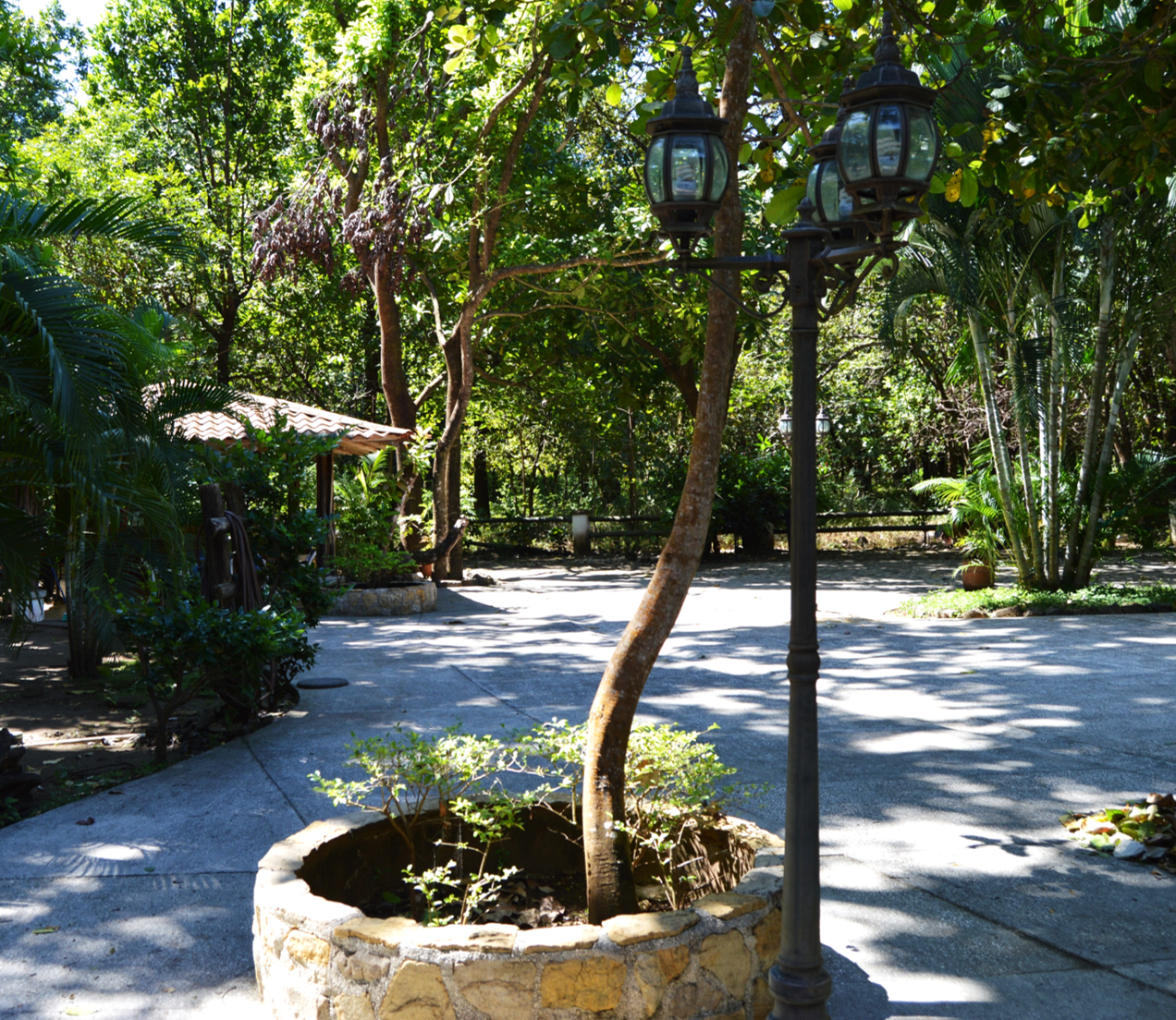 4 bed Single Family Homes For Sale in Junquillal, Guanacaste - thumb 12