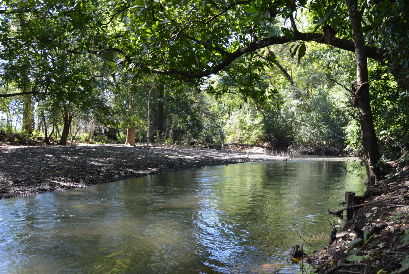 4 bed Single Family Homes For Sale in Junquillal, Guanacaste - thumb 10