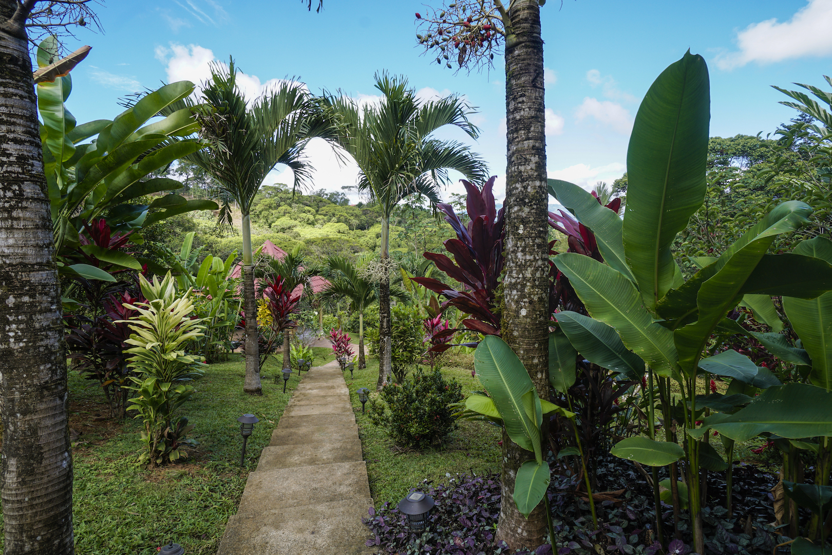 3 bed Single Family Homes For Sale in Dominical, Puntarenas - thumb 8