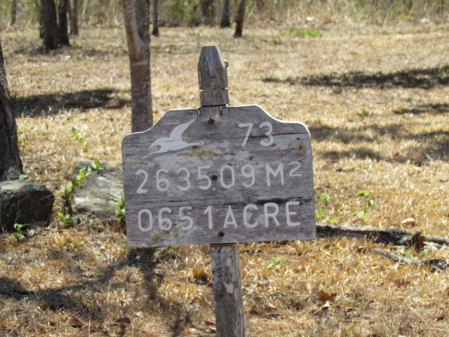 0 bed Land For Sale in San Jose De Pinilla, Guanacaste - thumb 16