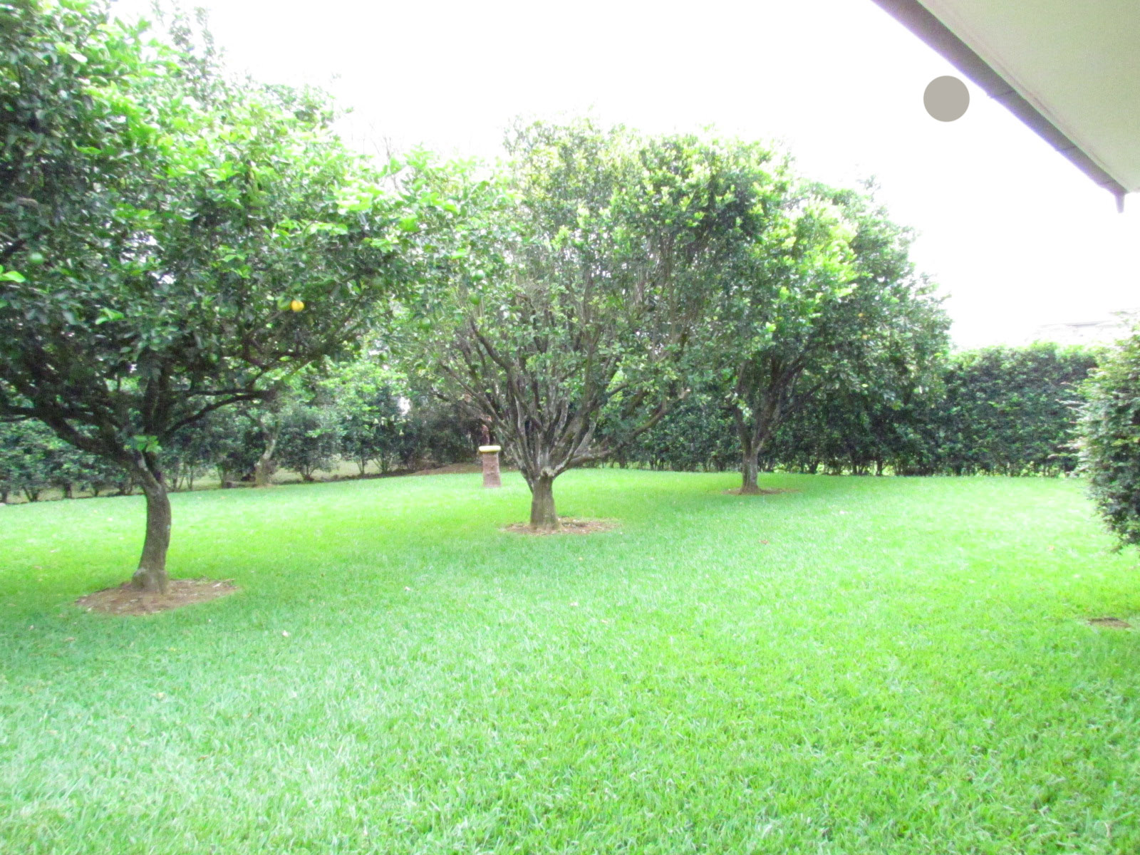 4 bed Single Family Homes For Sale in La Guacima, Alajuela - thumb 17