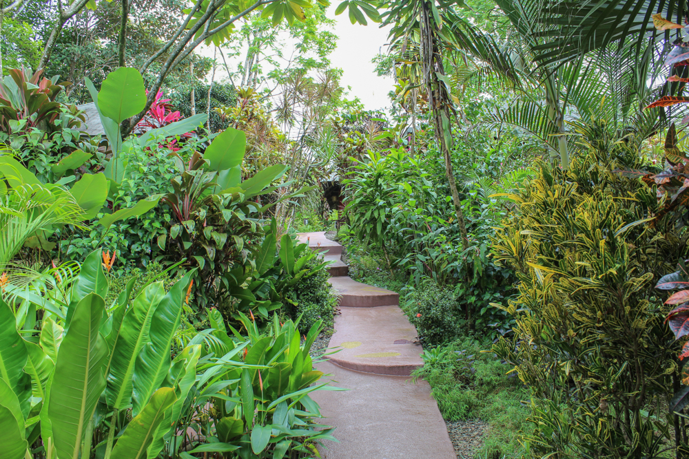 4 bed Hotel / Leisure For Sale in Ojochal, Puntarenas - thumb 23