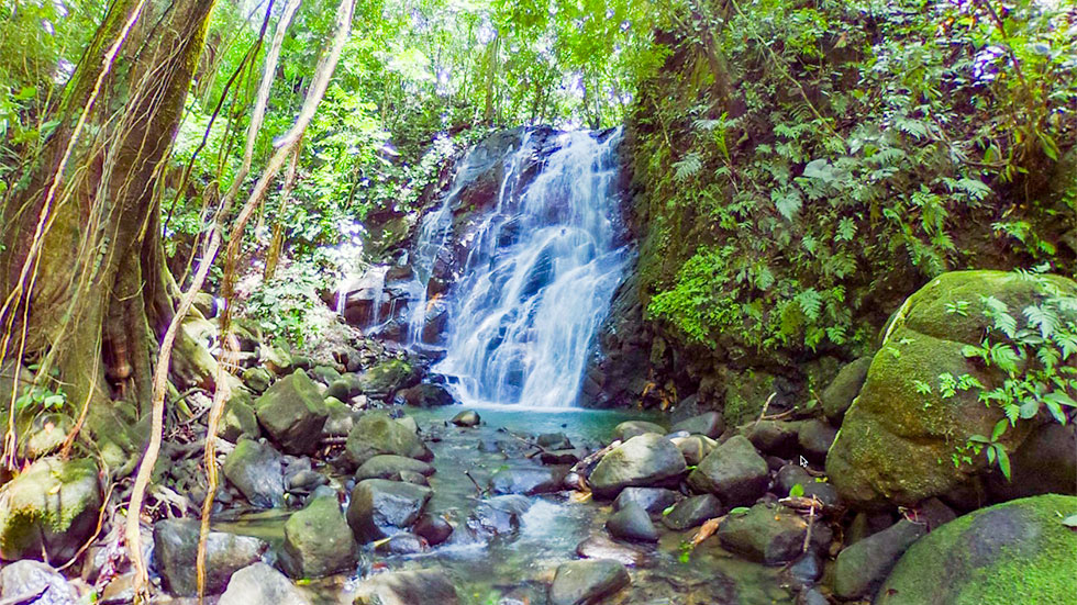 7 bed Single Family Homes For Sale in Dominical, Puntarenas - thumb 23