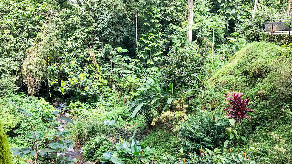 7 bed Single Family Homes For Sale in Dominical, Puntarenas - thumb 21