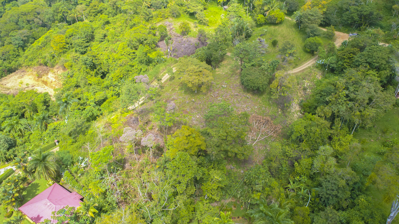 0 bed Land For Sale in Dominical, Puntarenas - thumb 19