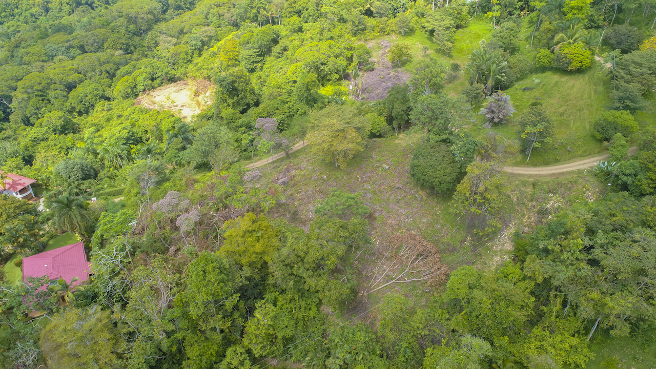 0 bed Land For Sale in Dominical, Puntarenas - thumb 20