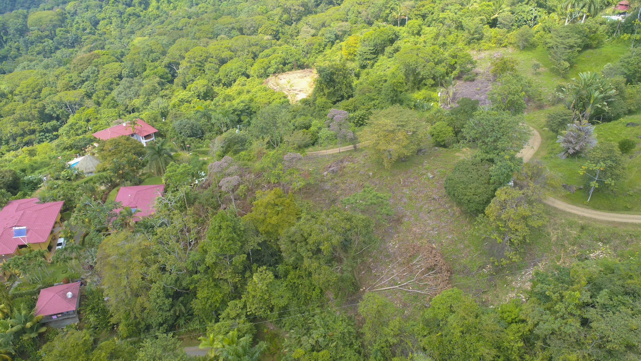 0 bed Land For Sale in Dominical, Puntarenas - thumb 21