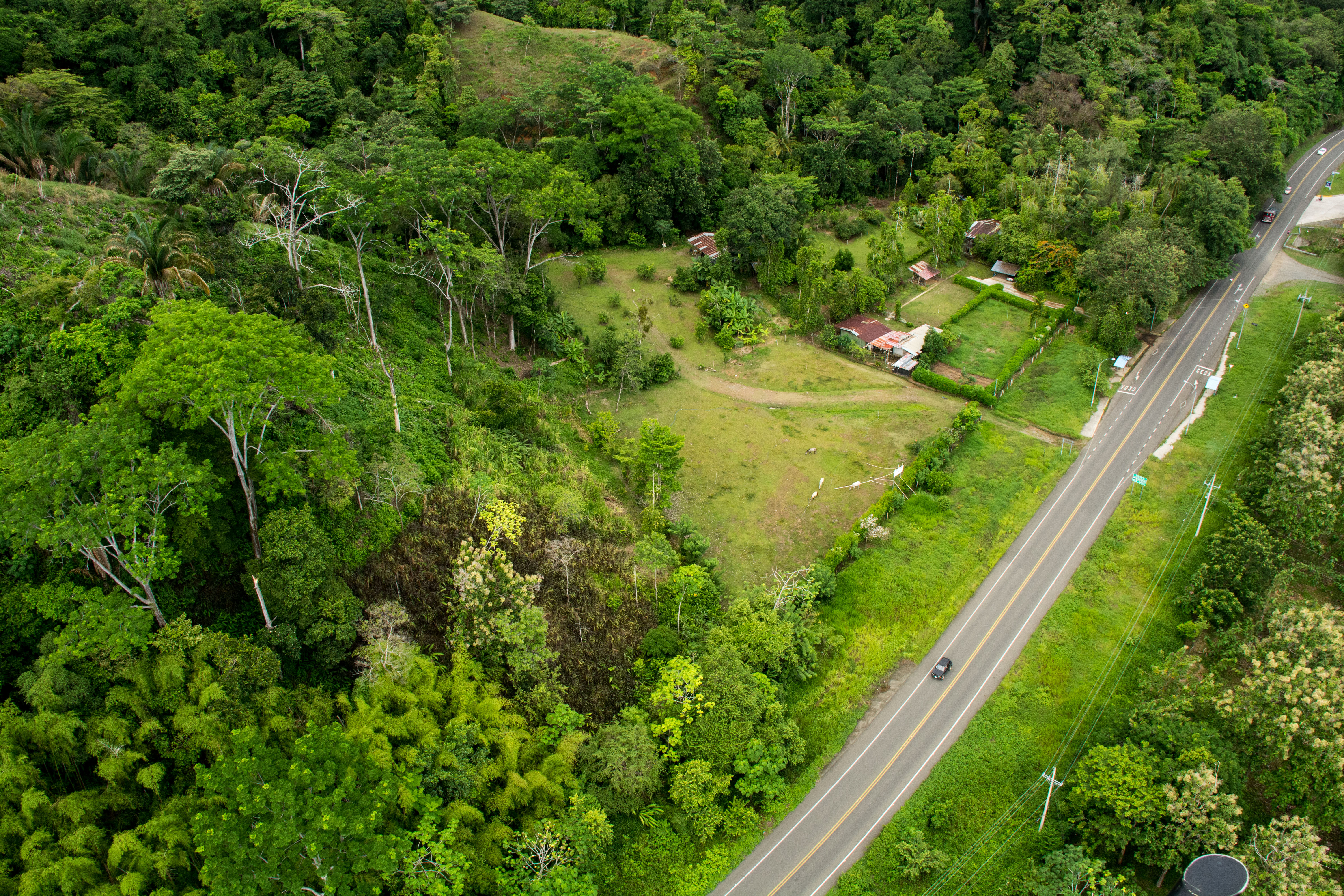 0 bed Land For Sale in Dominical, Puntarenas - thumb 22