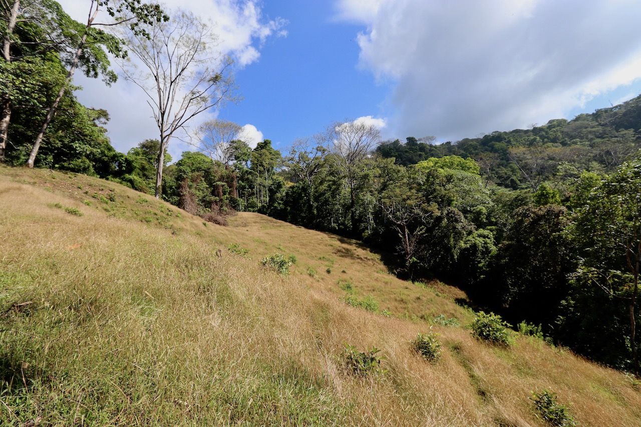0 bed Land For Sale in Dominical, Puntarenas - thumb 16