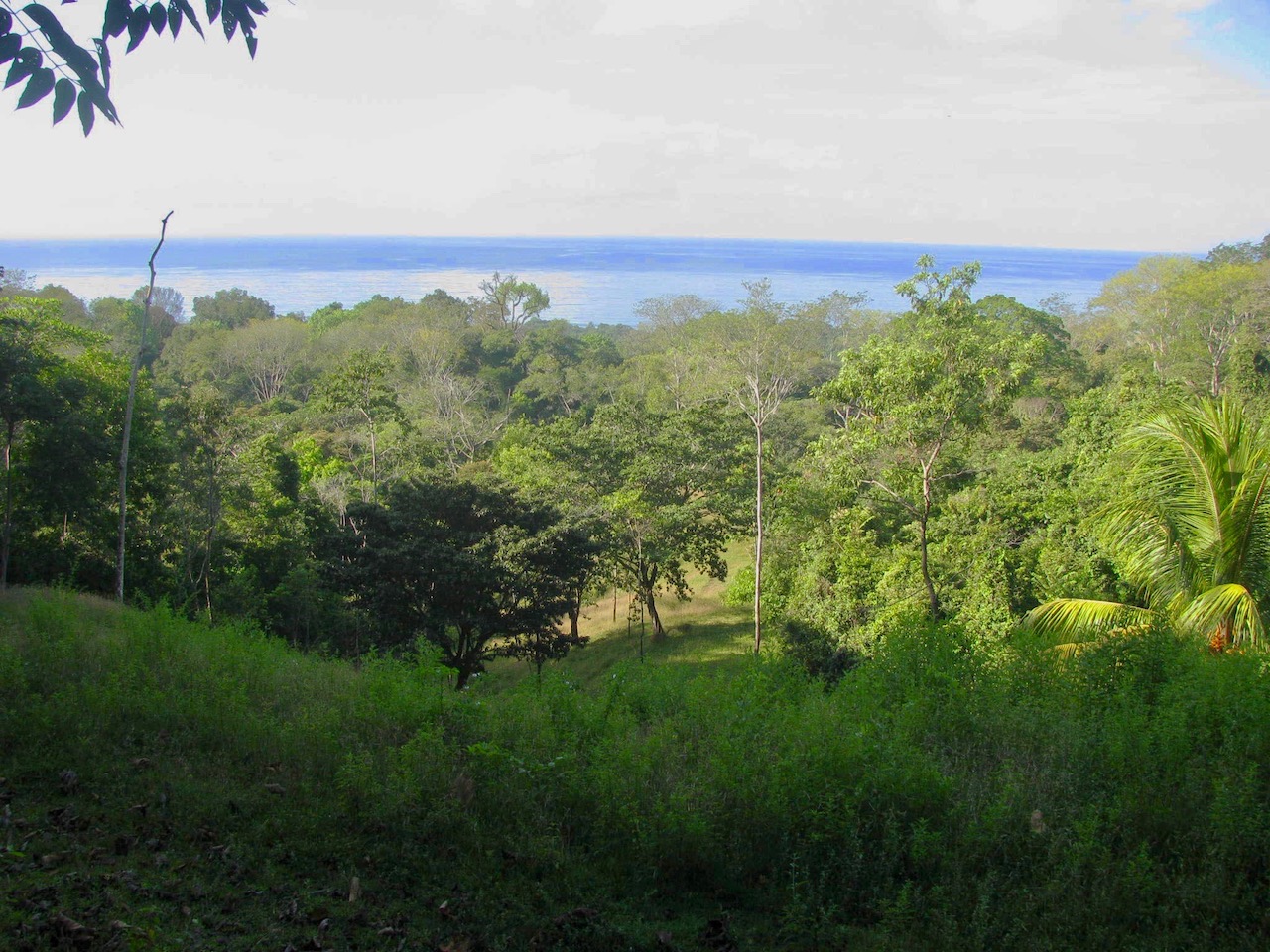 0 bed Land For Sale in Dominical, Puntarenas - thumb 19