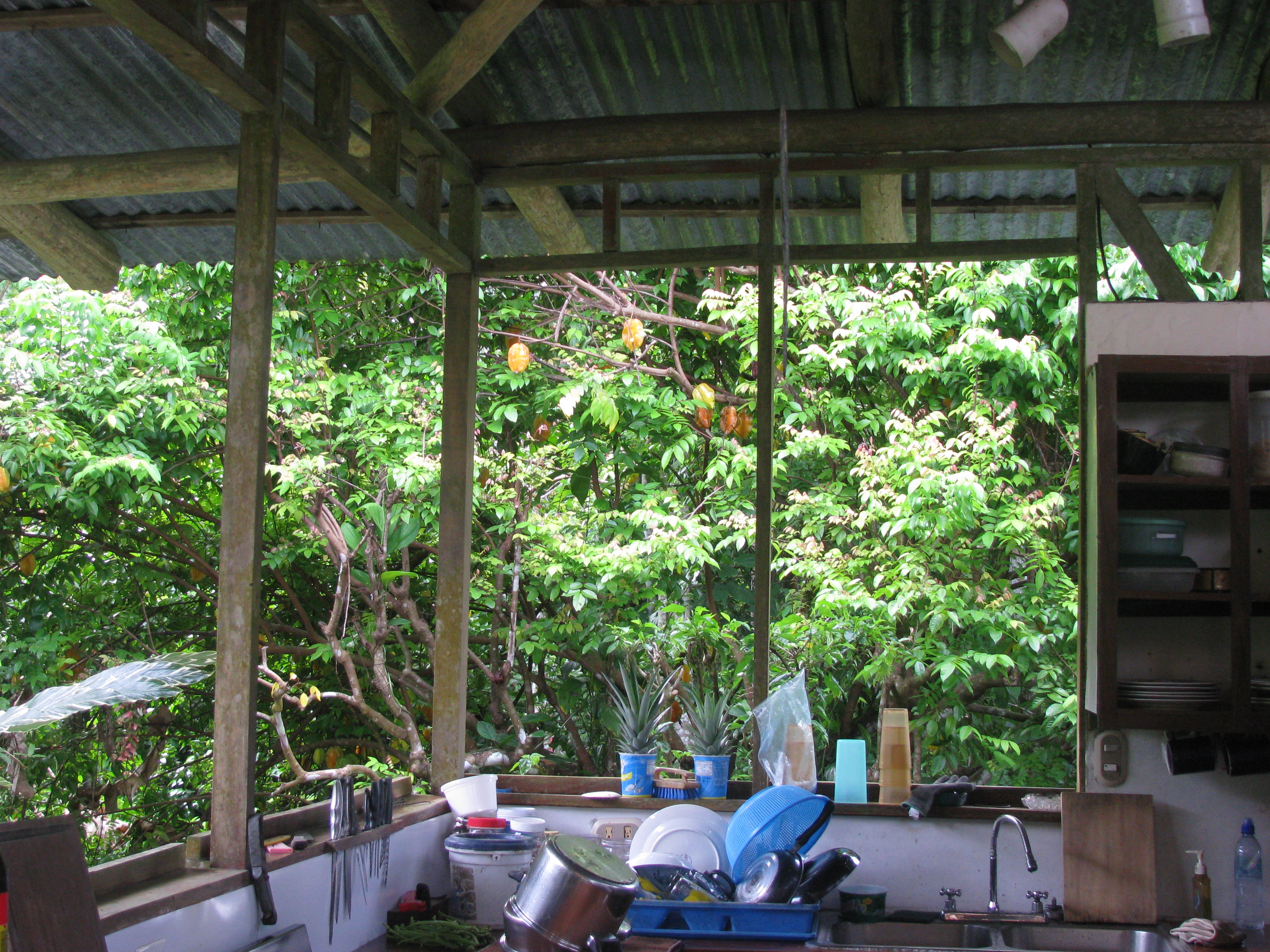0 bed Land For Sale in Dominical, Puntarenas - thumb 20