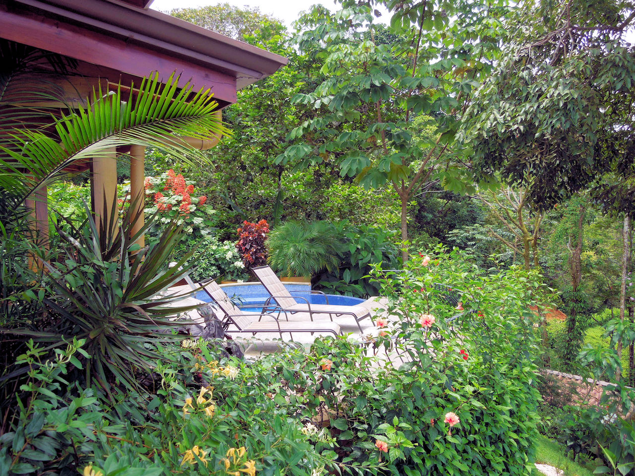 4 bed Single Family Homes For Sale in Dominical, Puntarenas - thumb 13