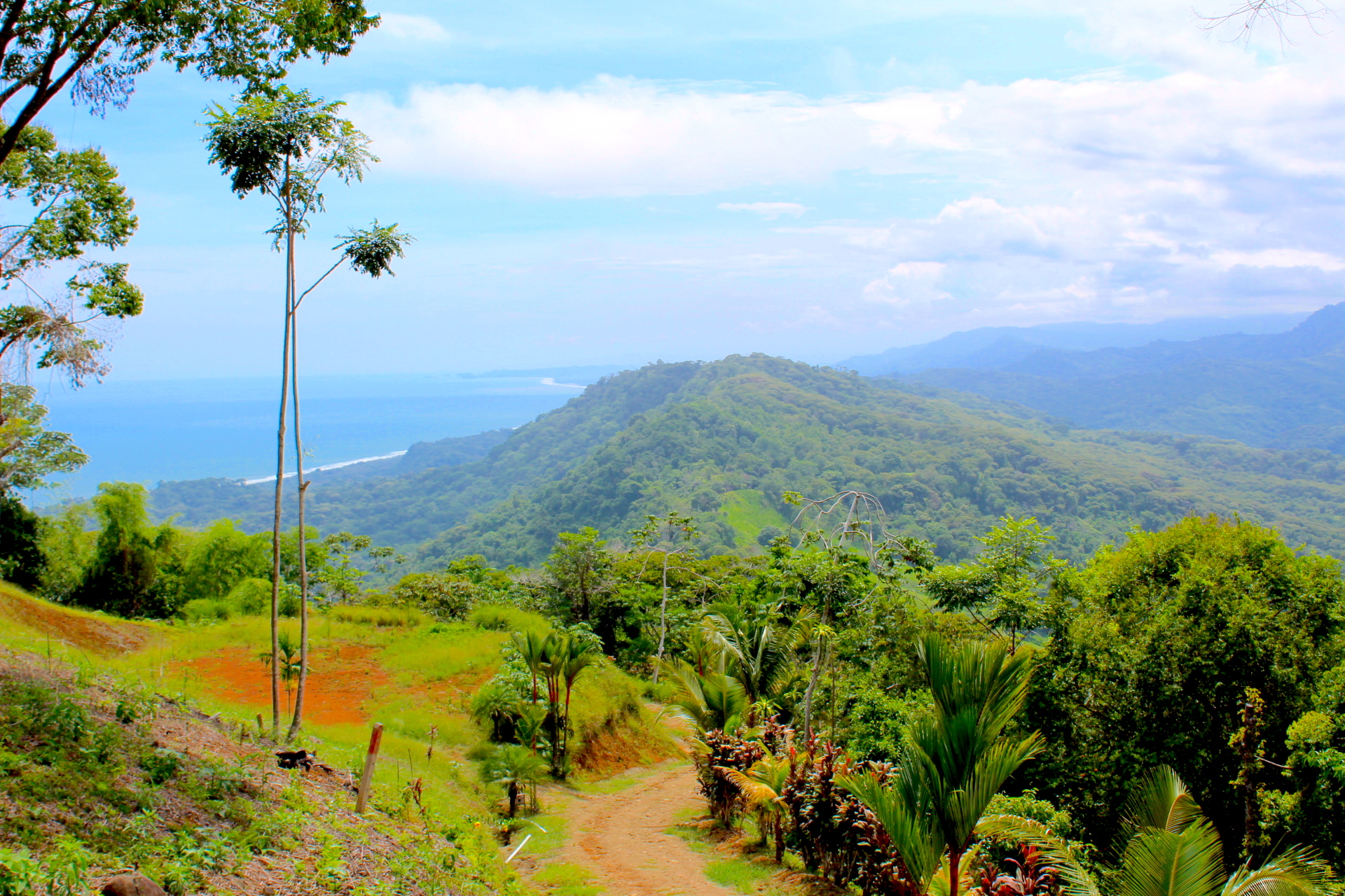 0 bed Communities For Sale in Dominical, Puntarenas - thumb 9
