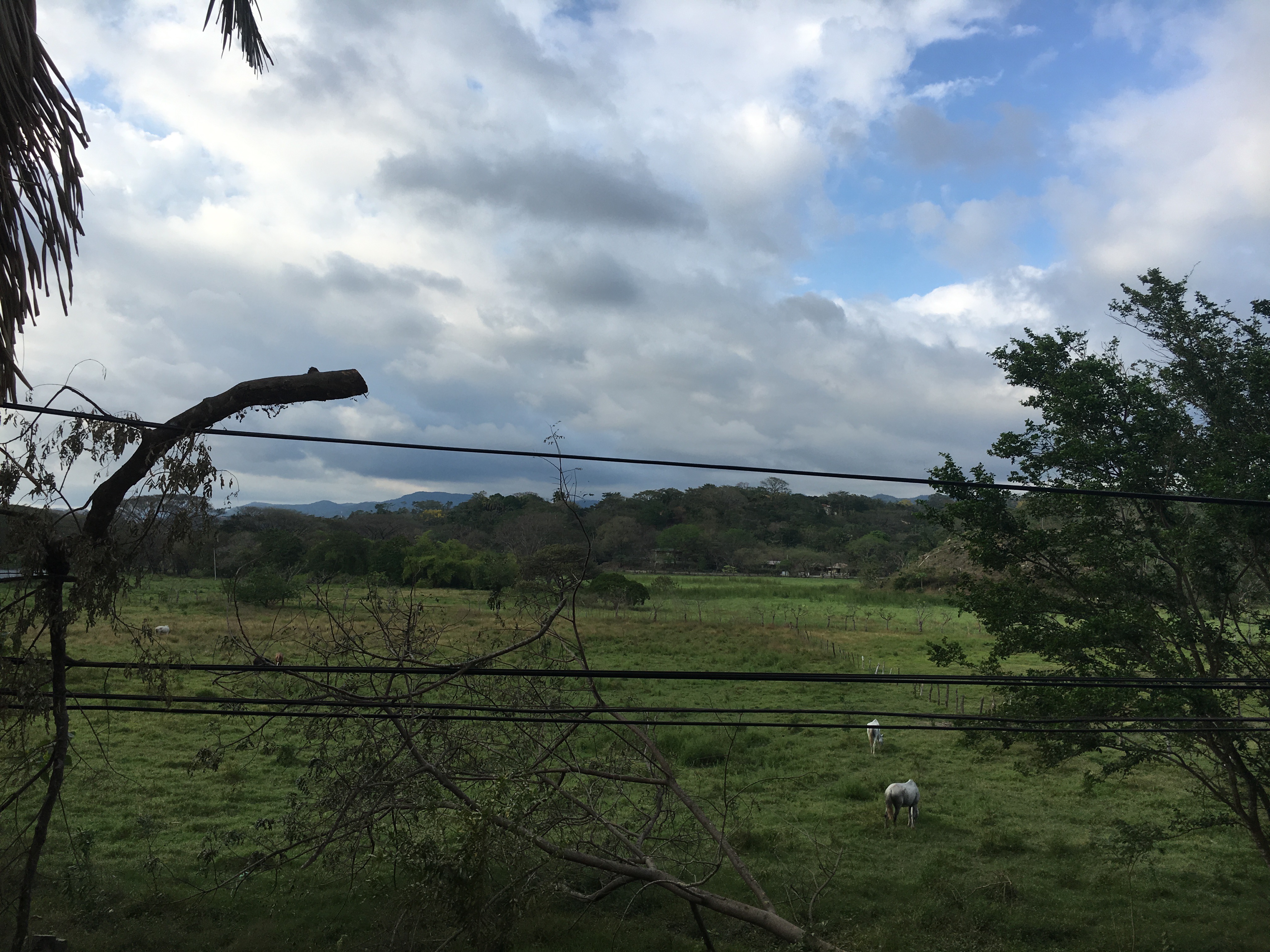 3 bed Single Family Homes For Sale in Samara, Guanacaste - thumb 2
