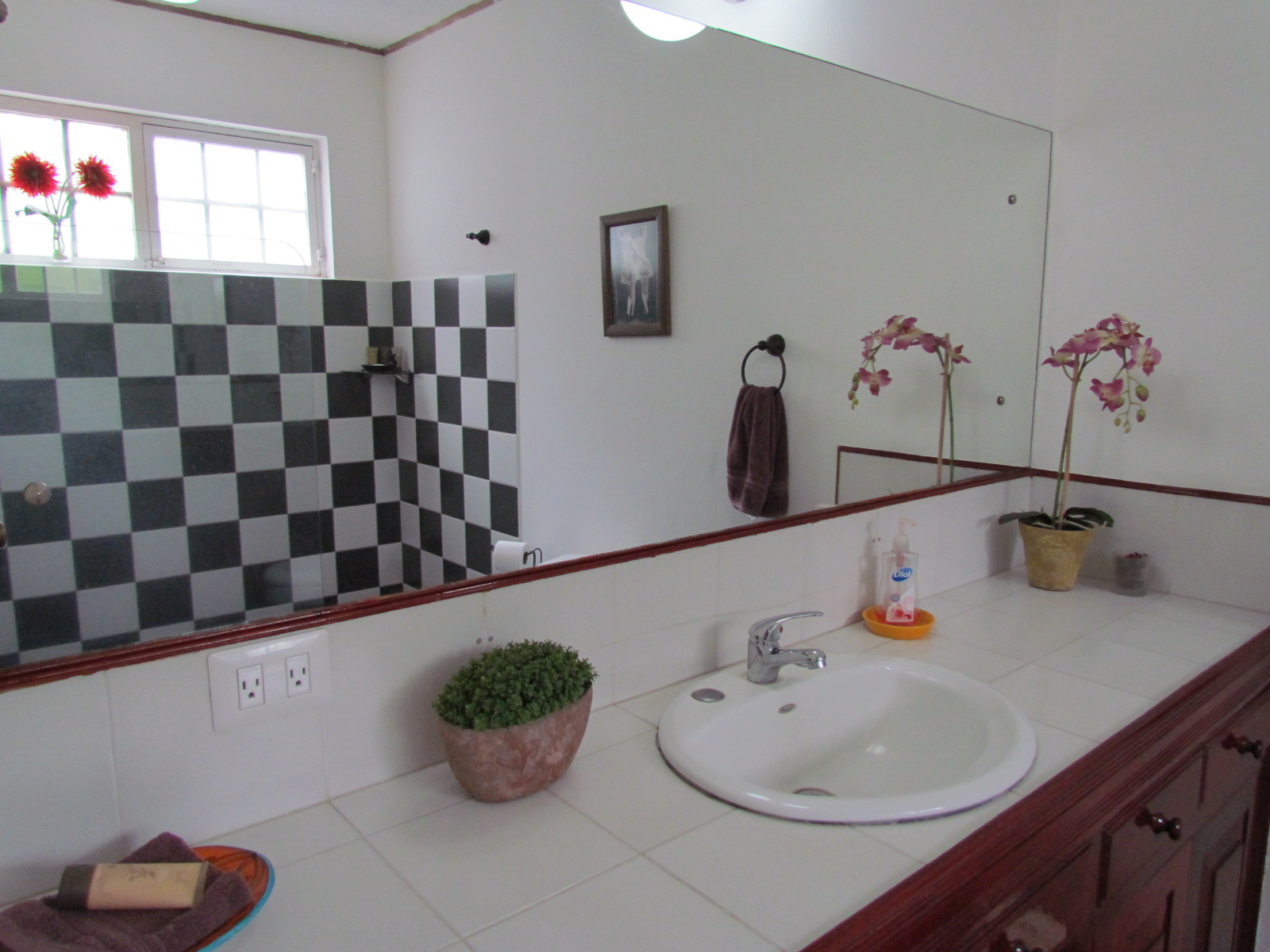 4 bed Single Family Homes For Sale in Santa Ana, San Jose - thumb 20