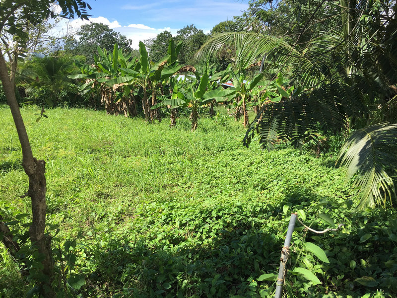 0 bed Land For Sale in Uvita, Puntarenas - 1
