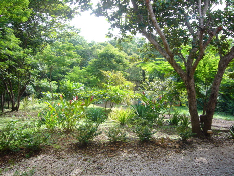 1 bed Single Family Homes For Sale in Playa Negra, Guanacaste - thumb 16