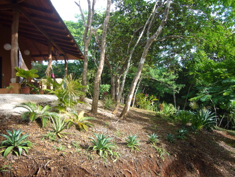1 bed Single Family Homes For Sale in Playa Negra, Guanacaste - thumb 12