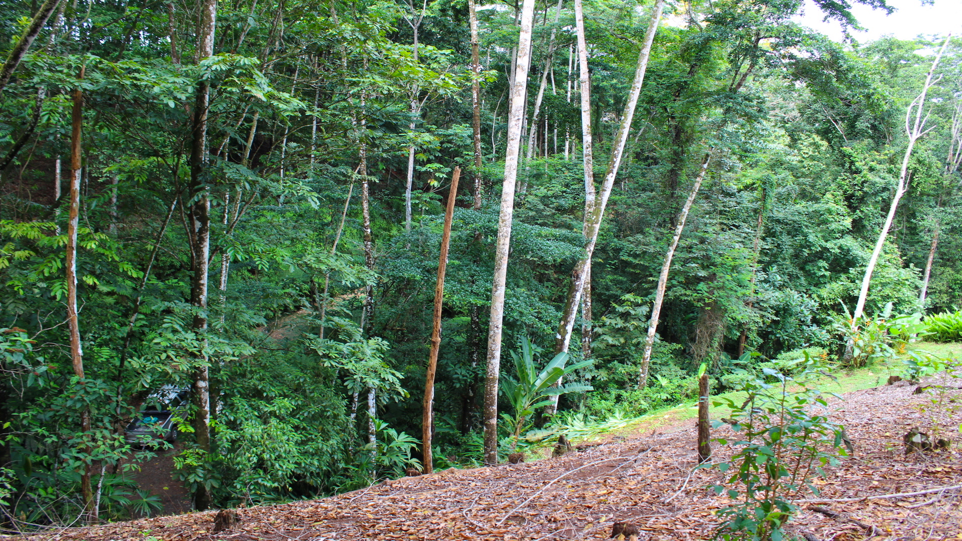 0 bed Land For Sale in Dominical, Puntarenas - thumb 12