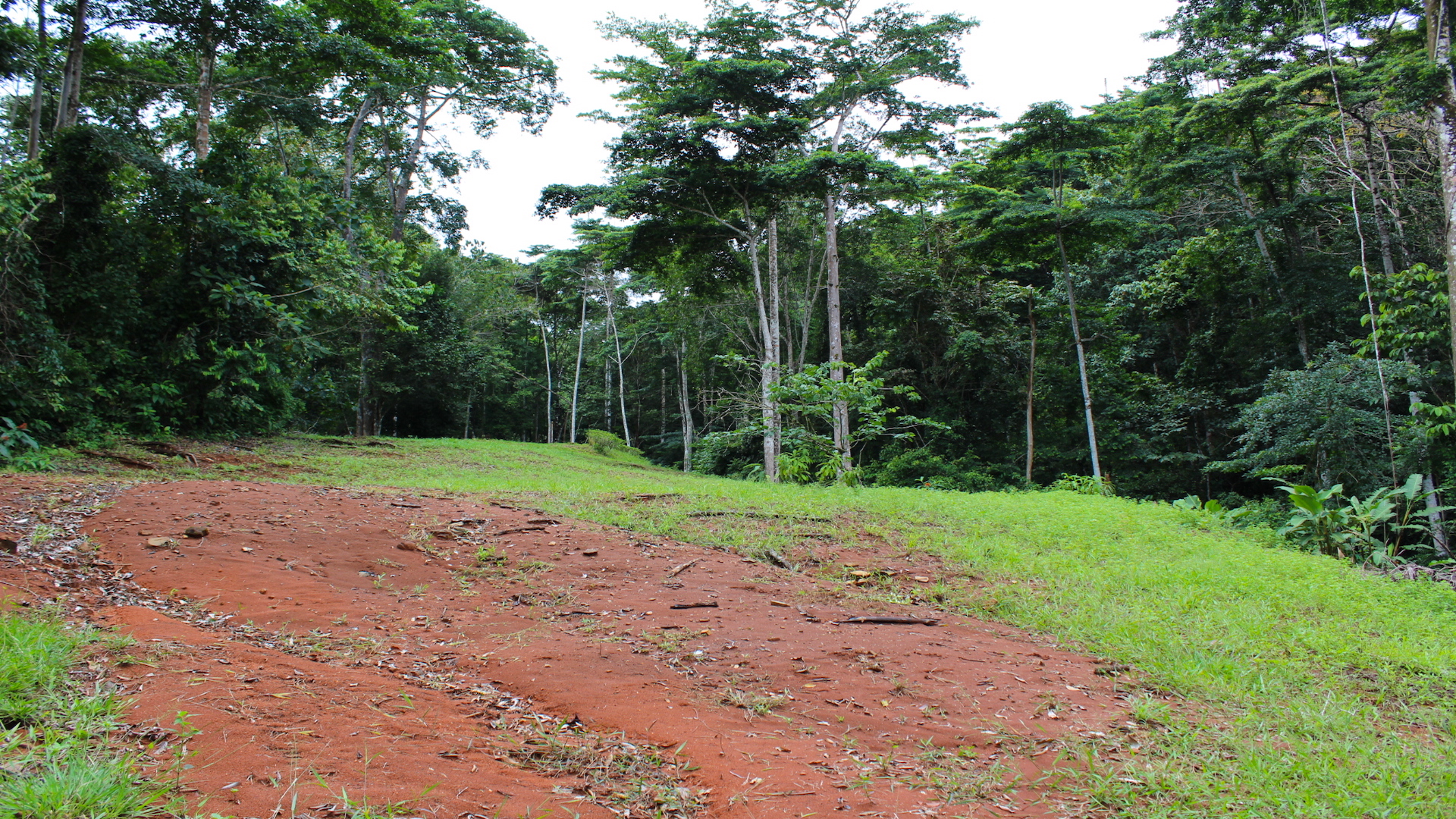 0 bed Land For Sale in Dominical, Puntarenas - thumb 5