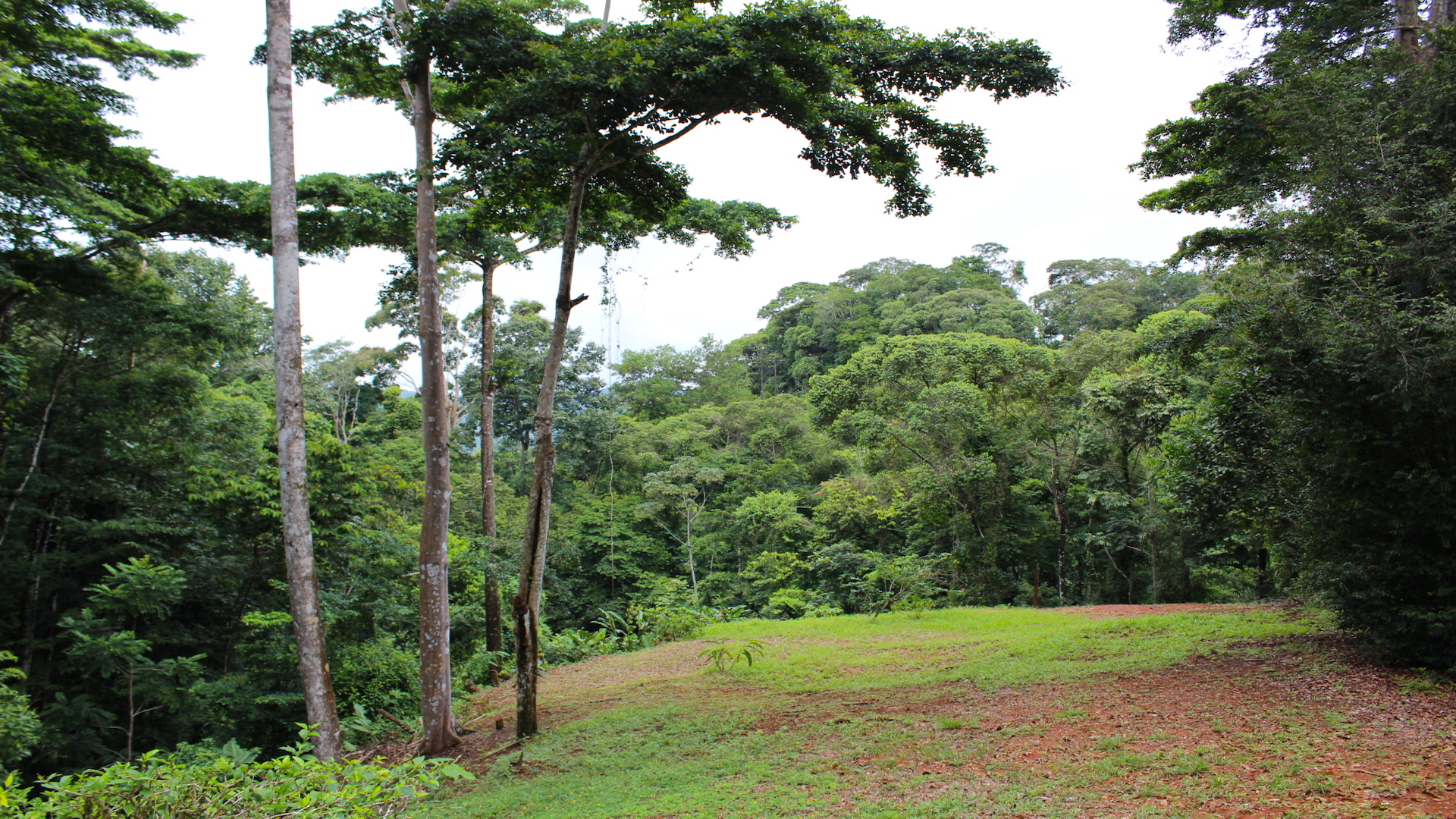 0 bed Land For Sale in Dominical, Puntarenas - thumb 7