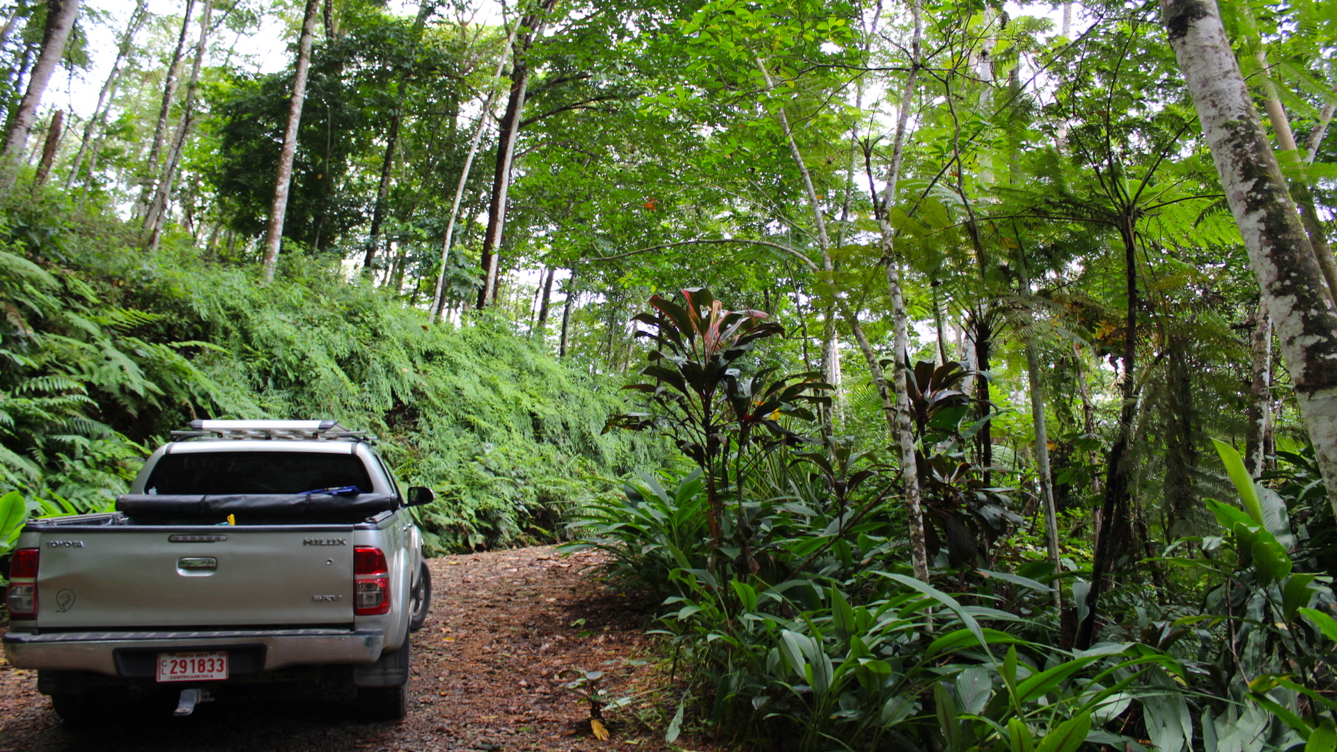 0 bed Land For Sale in Dominical, Puntarenas - thumb 15