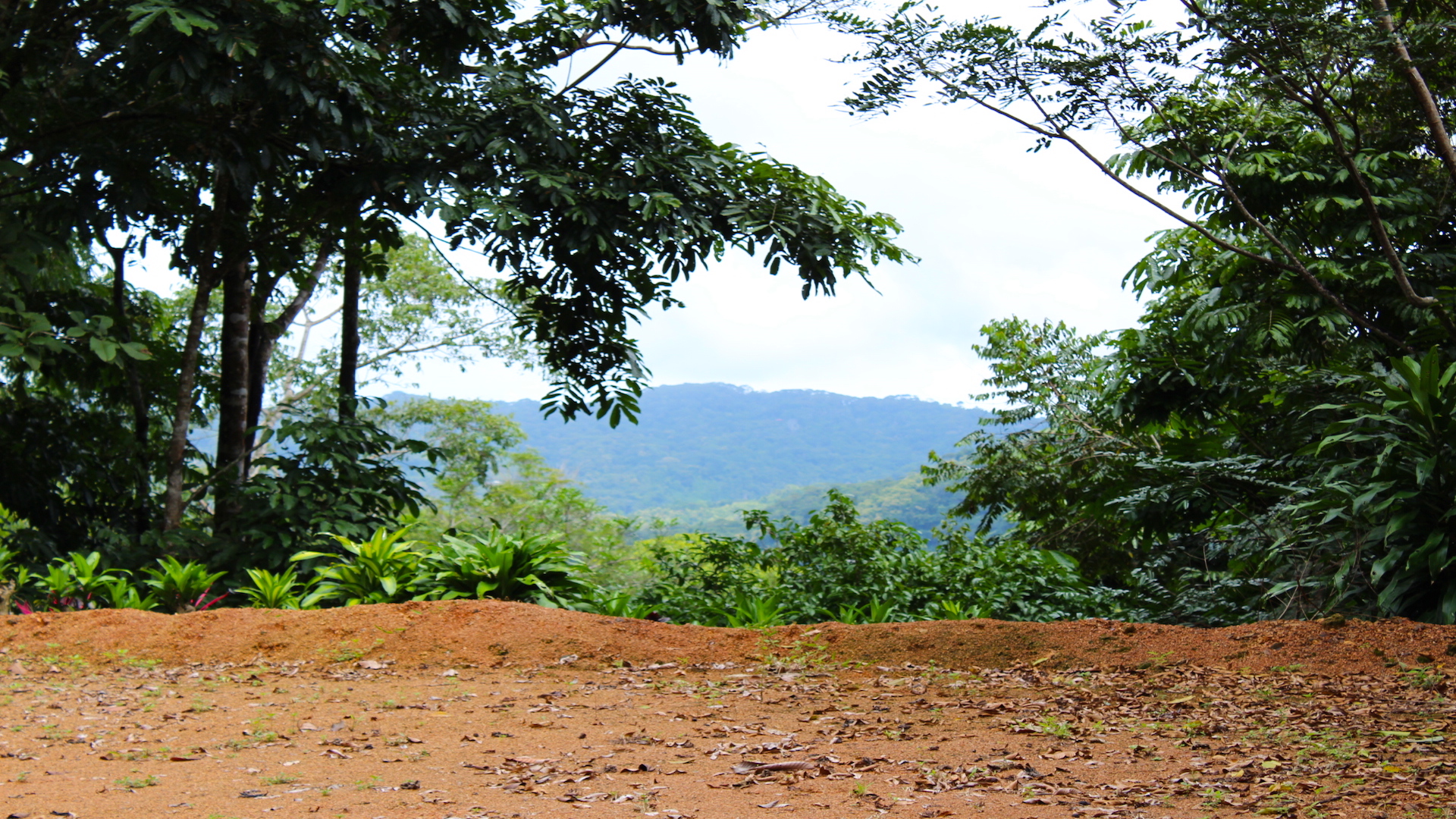 0 bed Land For Sale in Dominical, Puntarenas - thumb 10