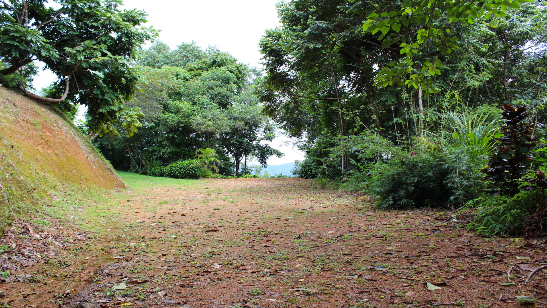 0 bed Land For Sale in Dominical, Puntarenas - thumb 9