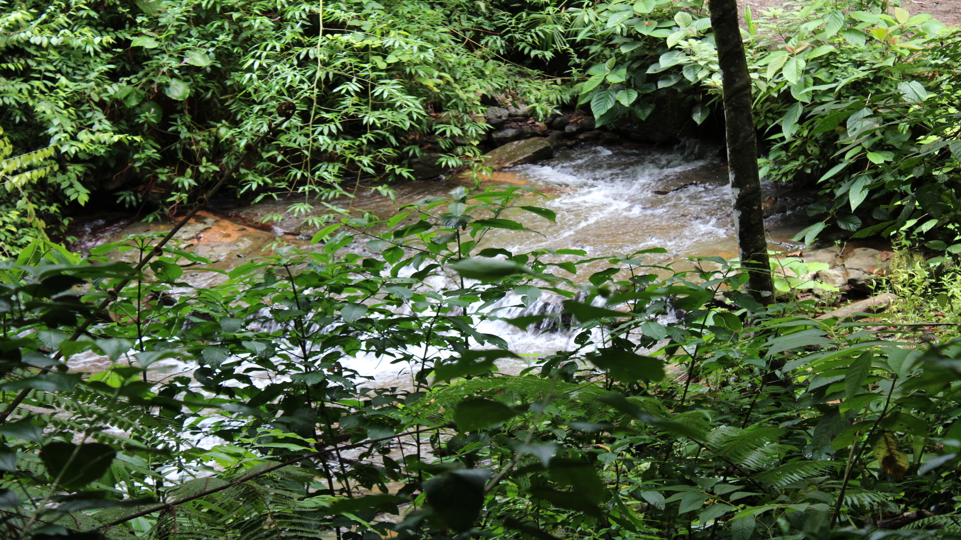 0 bed Land For Sale in Dominical, Puntarenas - thumb 20