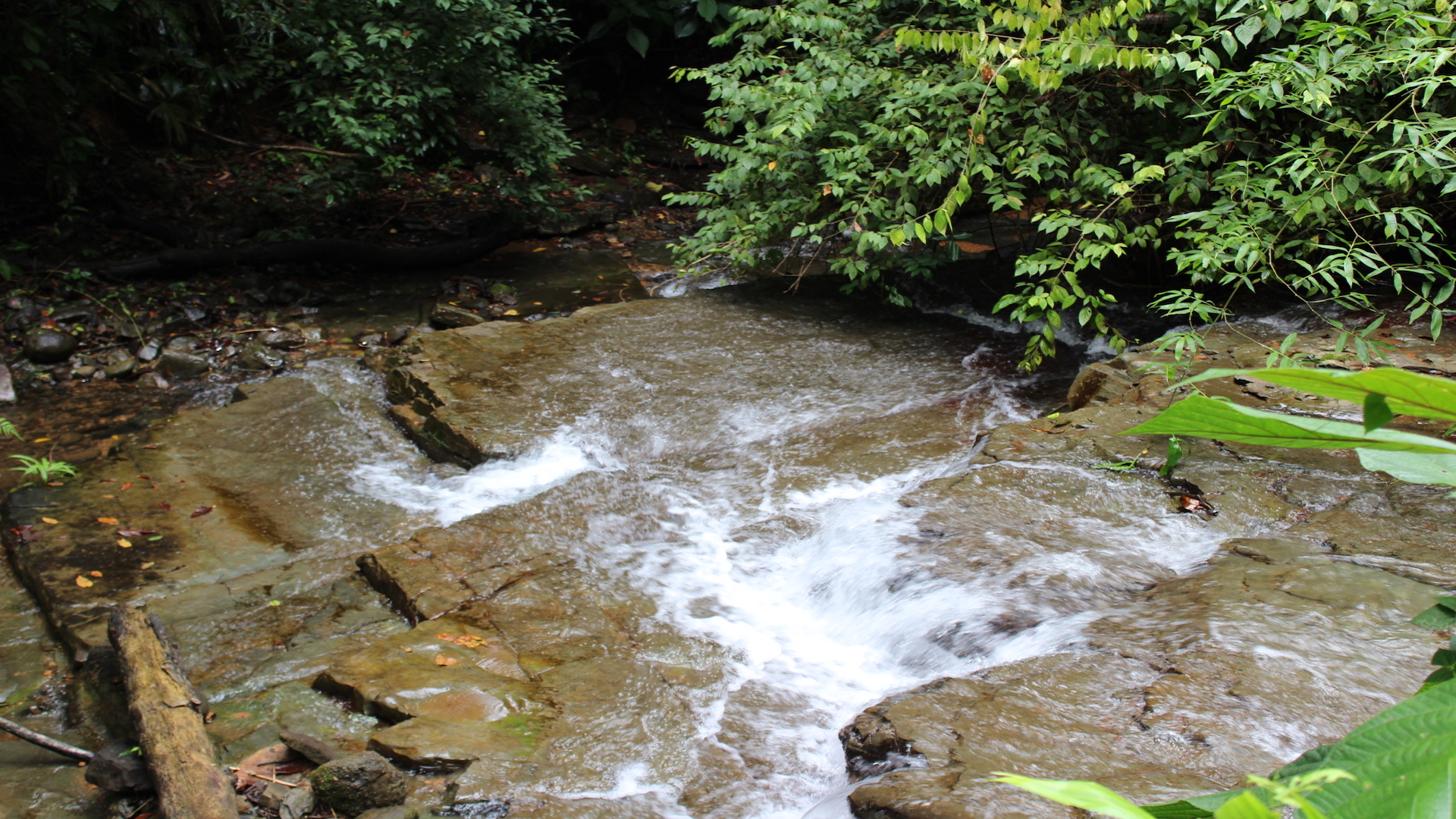 0 bed Land For Sale in Dominical, Puntarenas - thumb 1