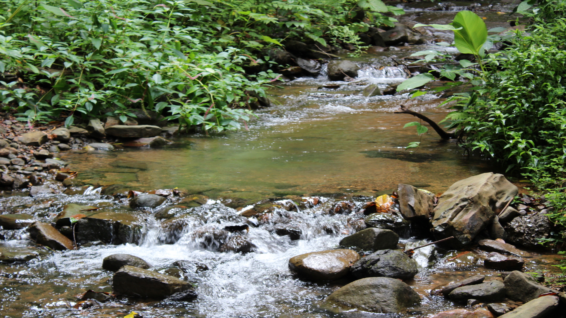 0 bed Land For Sale in Dominical, Puntarenas - thumb 2