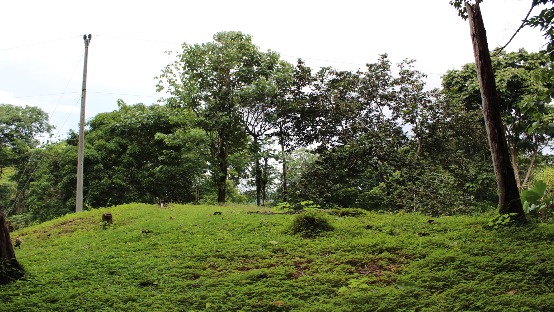 0 bed Land For Sale in Dominical, Puntarenas - thumb 16