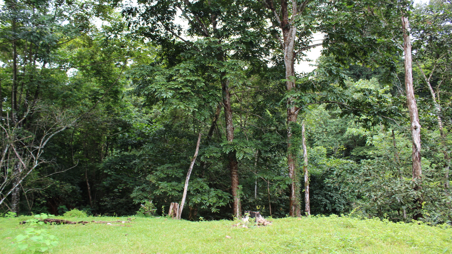 0 bed Land For Sale in Dominical, Puntarenas - thumb 14