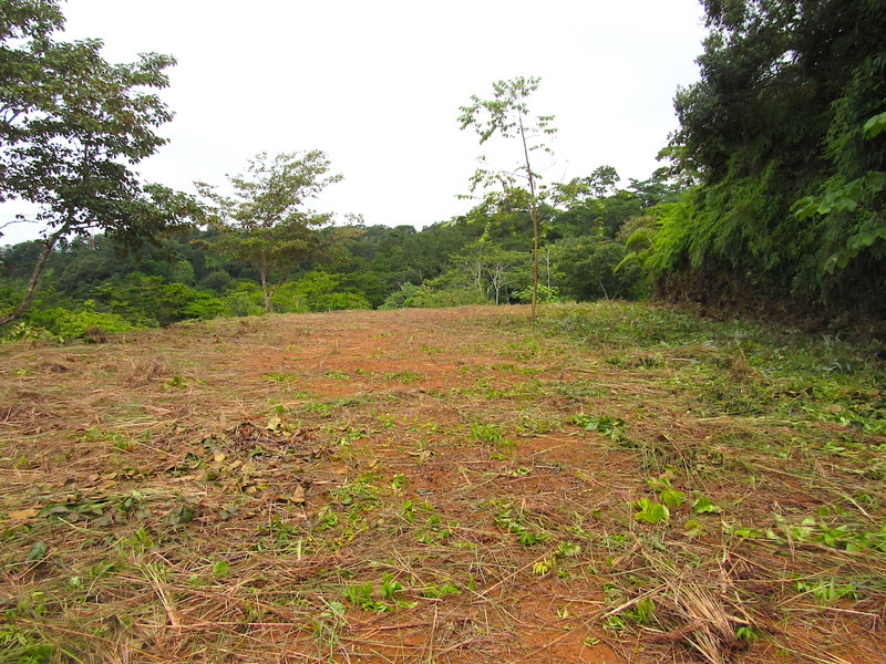 0 bed Land For Sale in Dominical, Puntarenas - 1