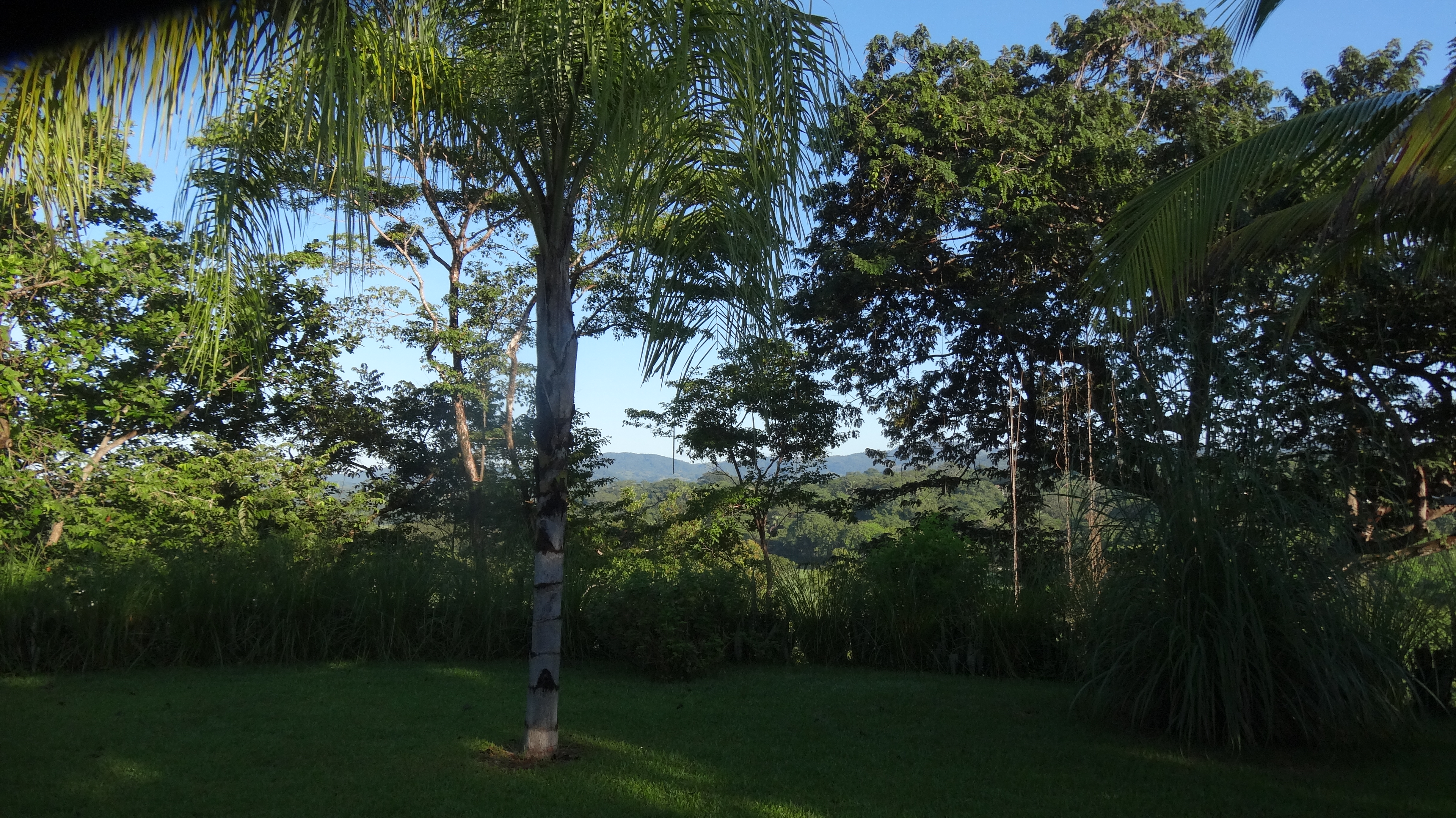 3 bed Single Family Homes For Sale in Samara, Guanacaste - thumb 21