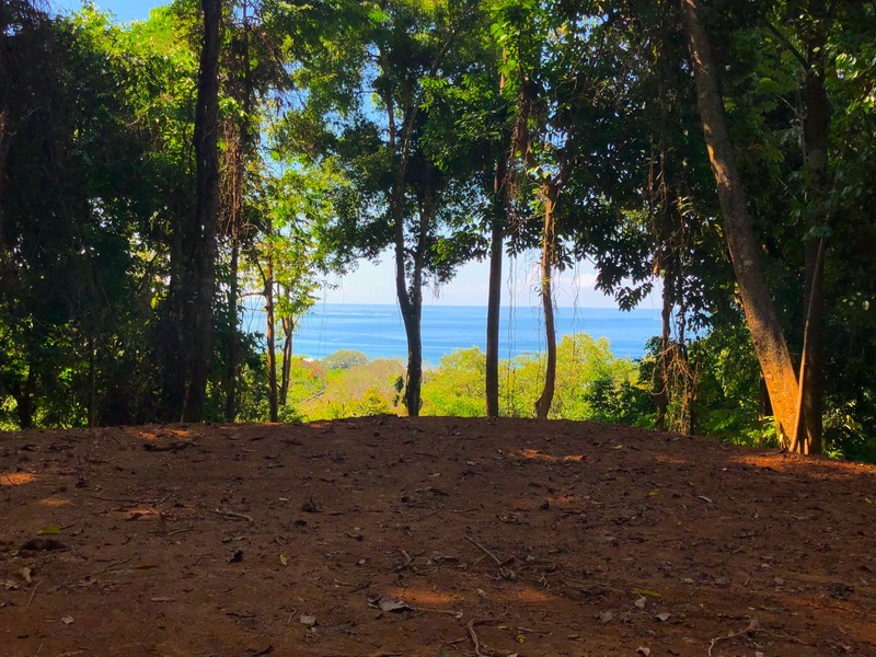0 bed Land For Sale in Uvita, Puntarenas - 1