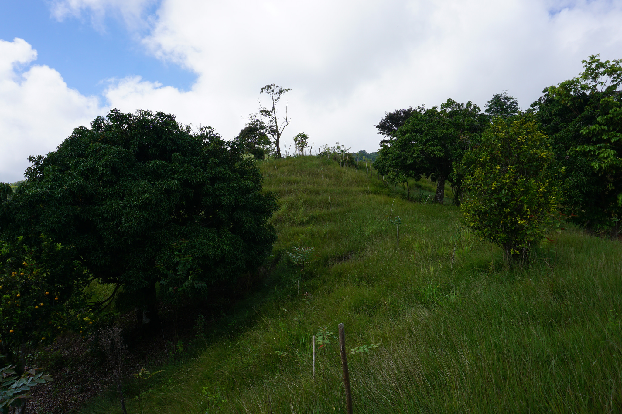 3 bed Single Family Homes For Sale in Perez Zeledon, Puntarenas - thumb 26