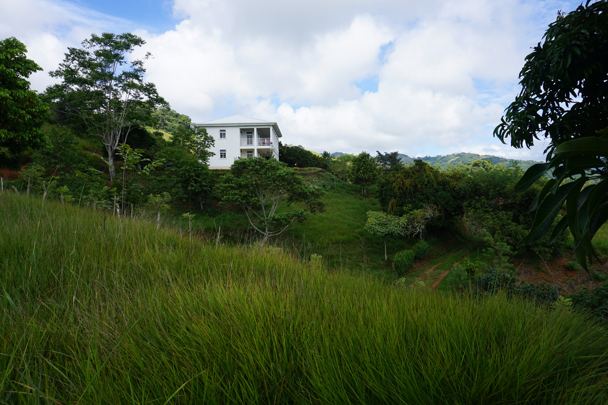3 bed Single Family Homes For Sale in Perez Zeledon, Puntarenas - thumb 24