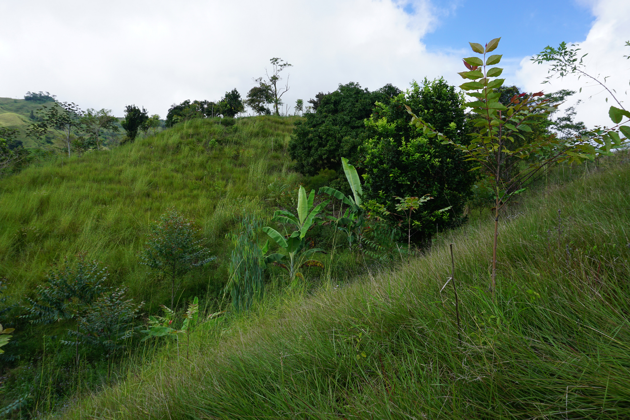 3 bed Single Family Homes For Sale in Perez Zeledon, Puntarenas - thumb 25