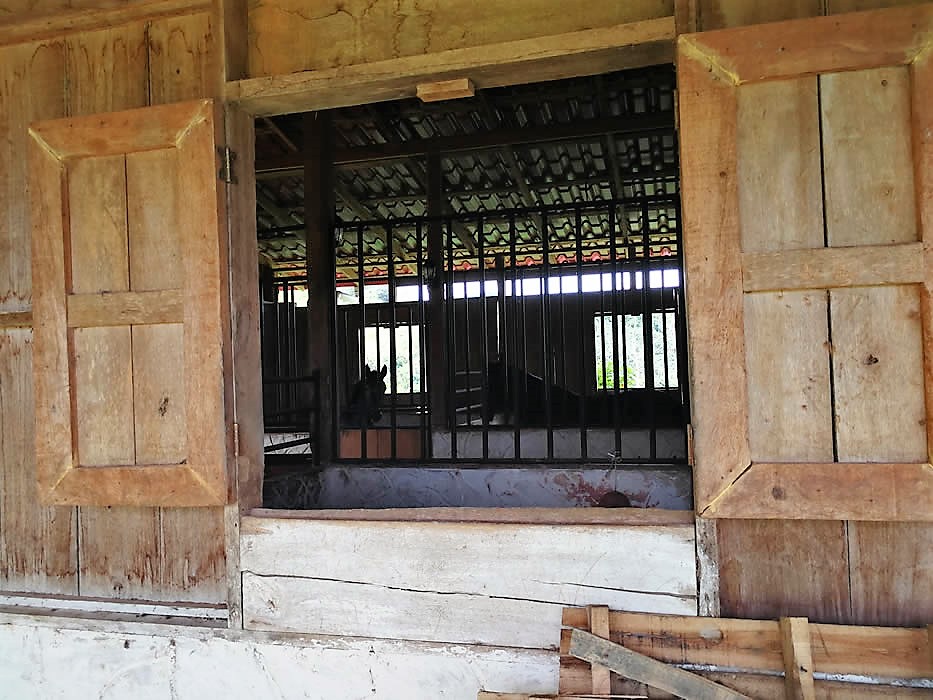 3 bed Single Family Homes For Sale in Perez Zeledon, Puntarenas - thumb 17