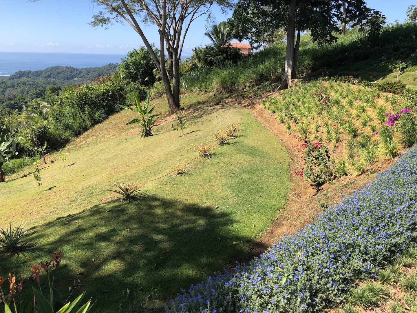 2 bed Single Family Homes For Sale in Ojochal, Puntarenas - thumb 18