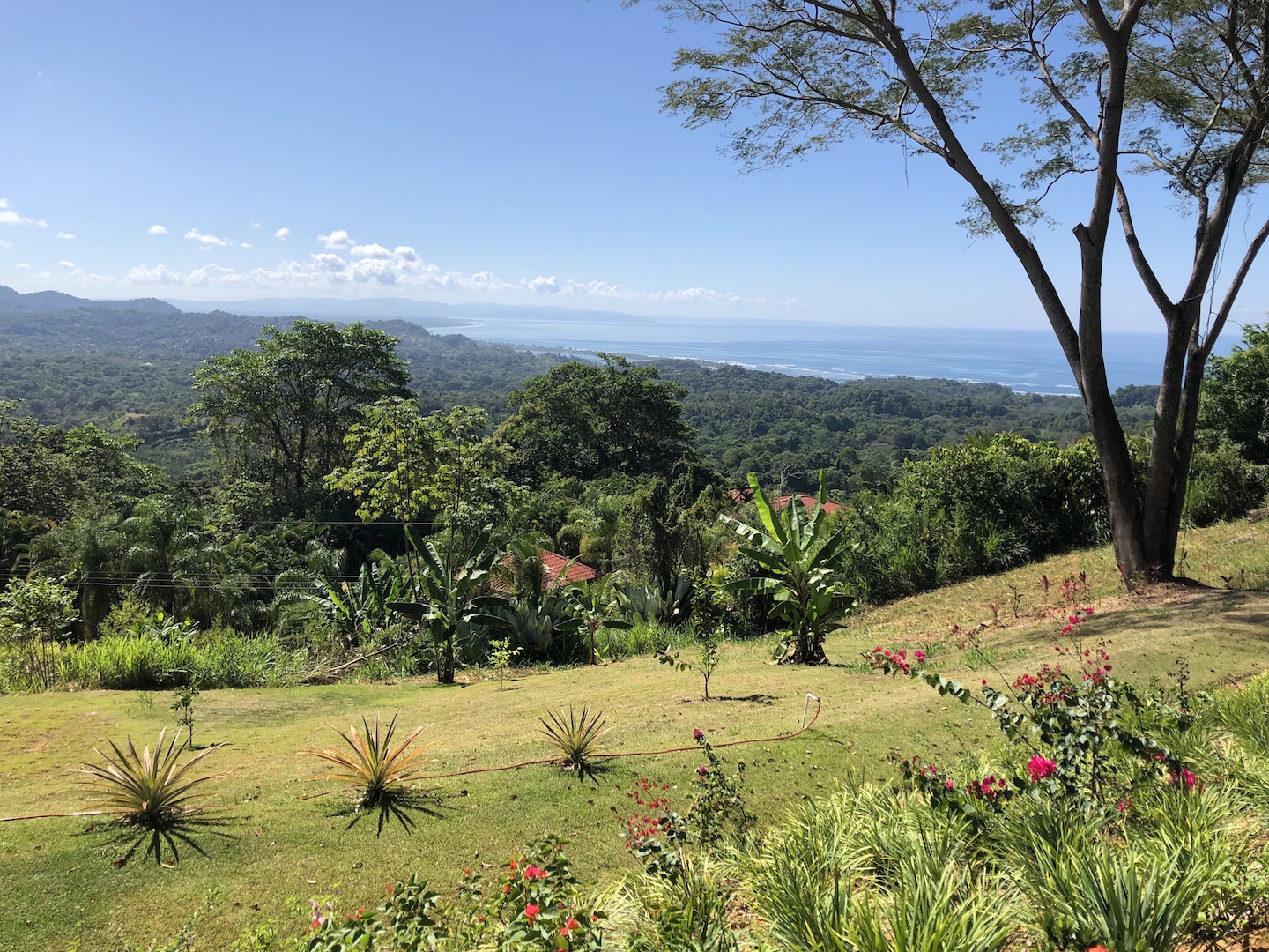 2 bed Single Family Homes For Sale in Ojochal, Puntarenas - thumb 19