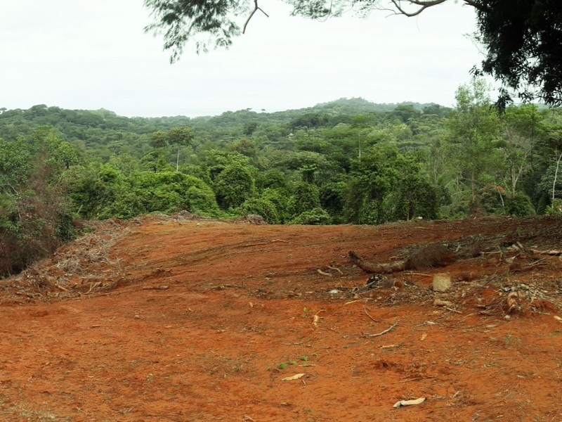 0 bed Land For Sale in Ojochal, Puntarenas - 1