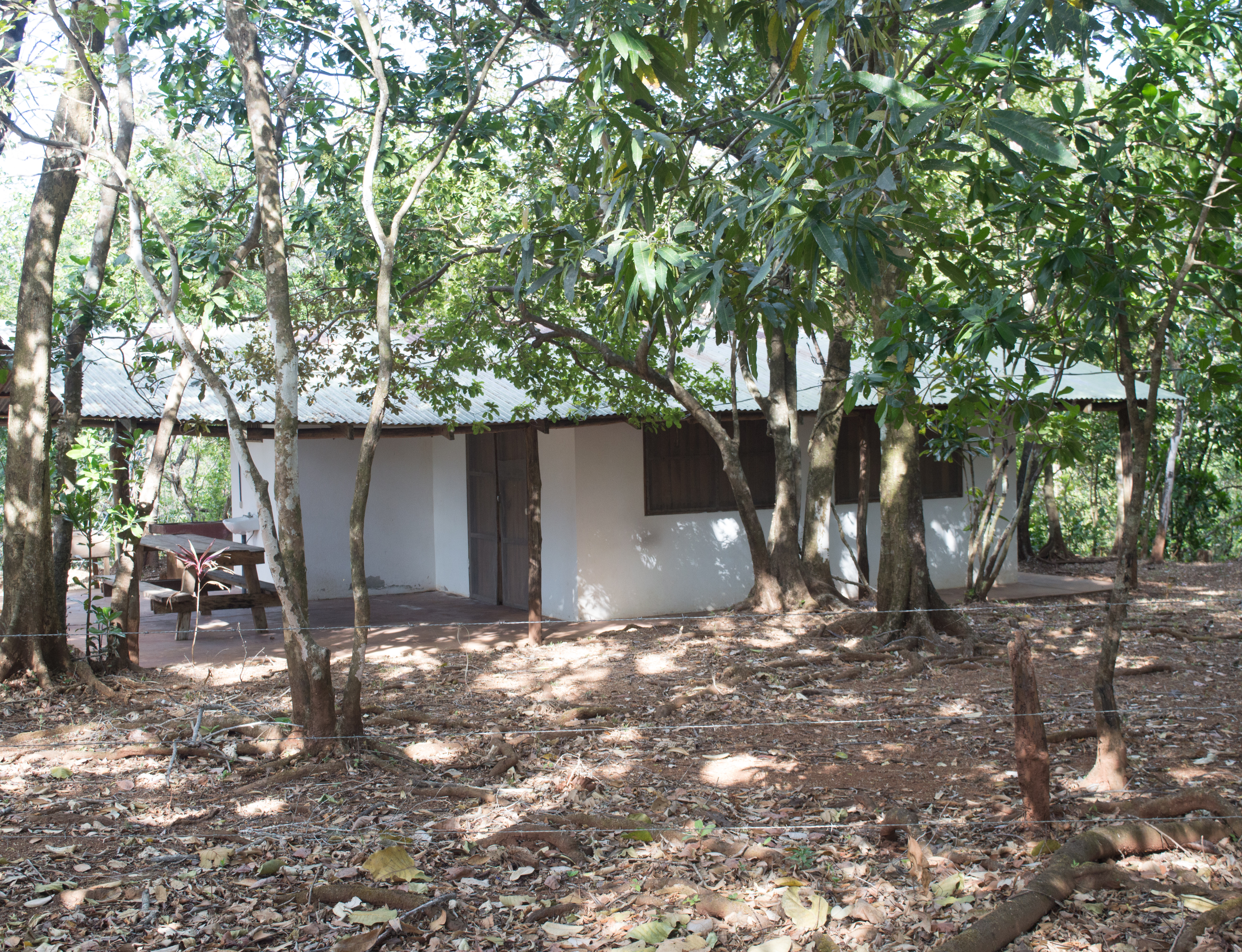 1 bed Land For Sale in Samara, Guanacaste - thumb 10